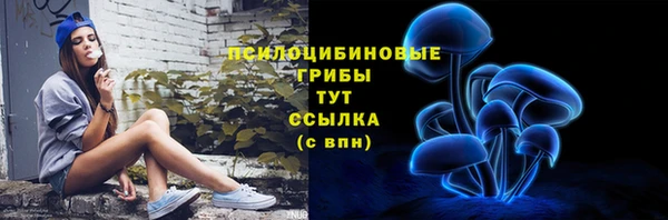 синтетический гашиш Алексин