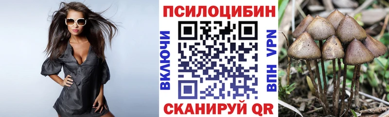 shop какой сайт  наркота  Островной  Псилоцибиновые грибы мухоморы  ОМГ ОМГ зеркало 